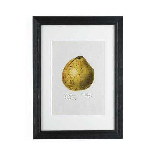 Quince No. 94920 Framed Wall Art - Neptune Home Accessories