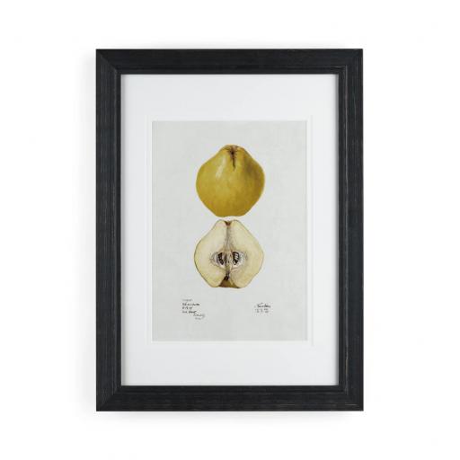 Quince No. 45908 Framed Wall Art - Neptune Home Accessories