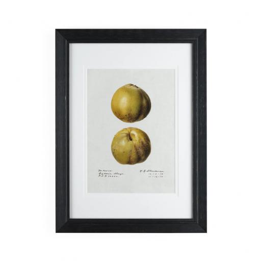 Quince No. 96526 Framed Wall Art - Neptune Home Accessories